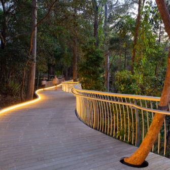 Noosa-boardwalk--at-night-full-width