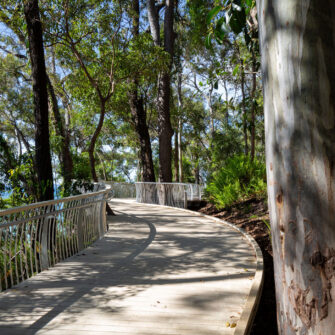 Noosa-boardwalk-full-width-2