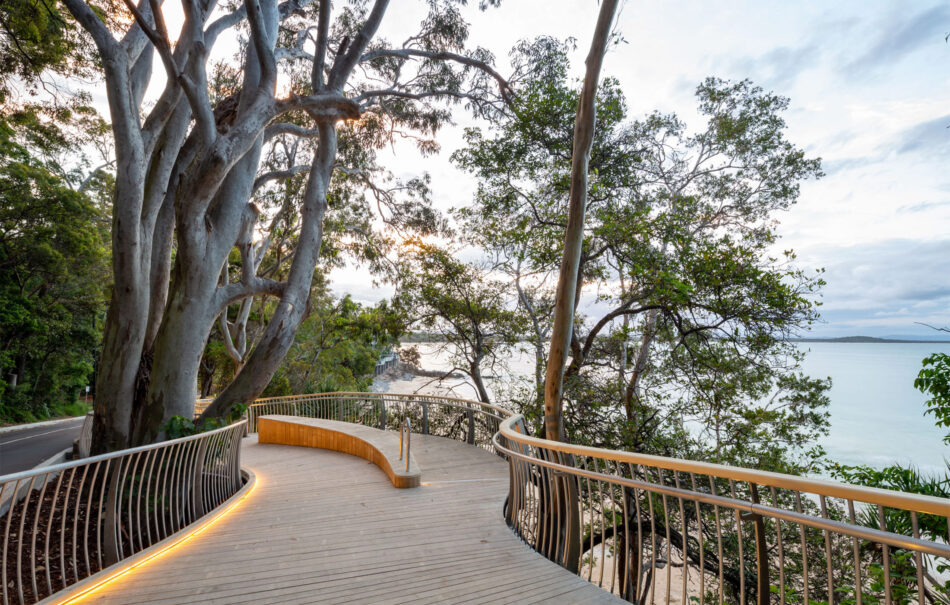 Why Accoya?