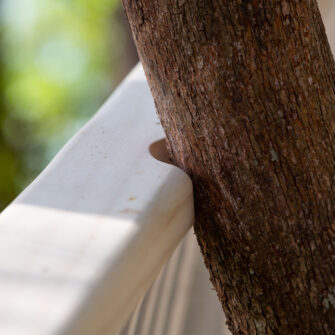 Noosa-boardwalk-square-5