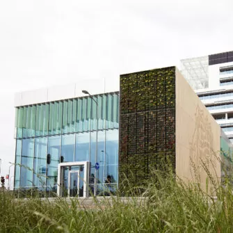 Venlo-city-hall---square-3