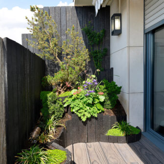 charred-accoya-in-Paris--square--2