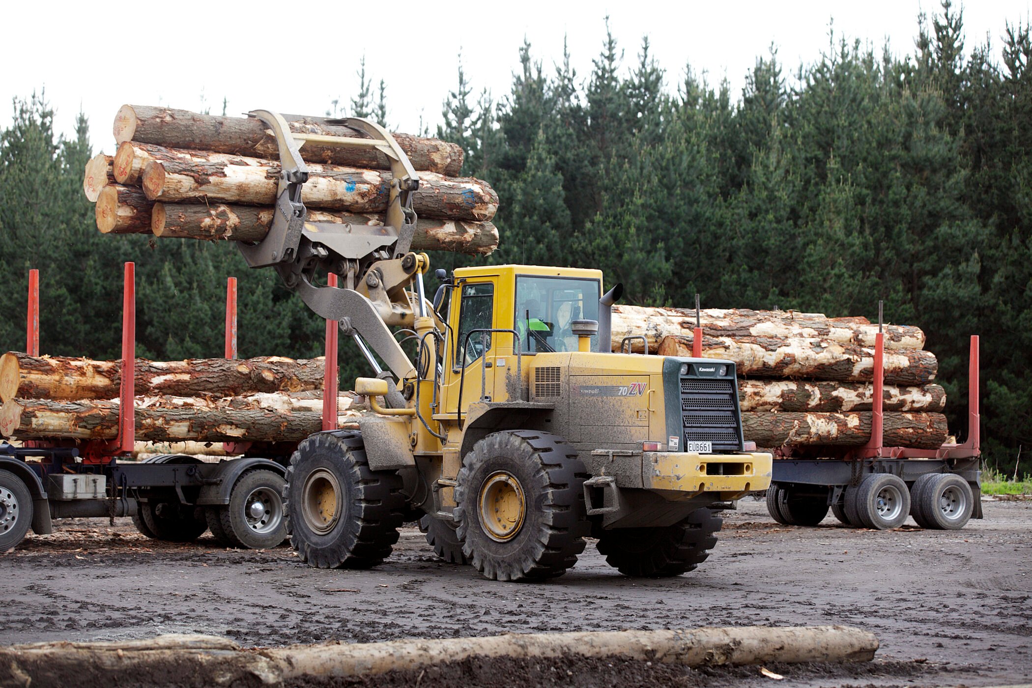 What is sustainable timber?