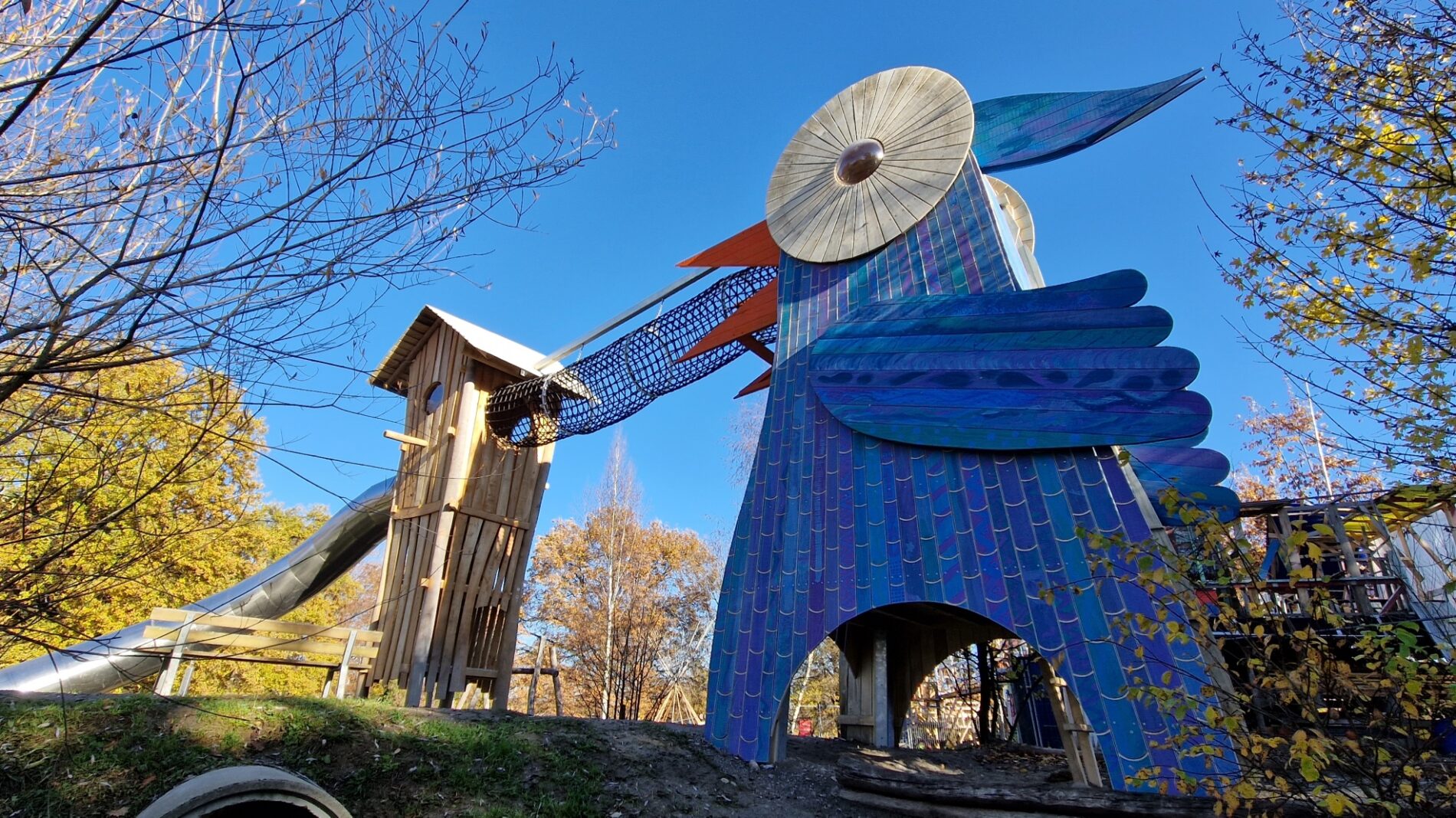 accoya playground bird switzerland