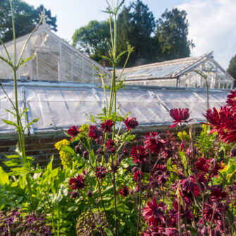 Greenhouse-Hawkhurst--full-width