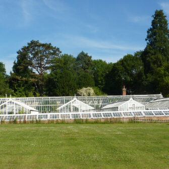 Greenhouse-Hawkhurst--hero