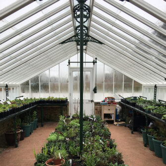 Greenhouse-Hawkhurst--square-2