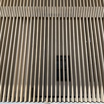 IMG_6312