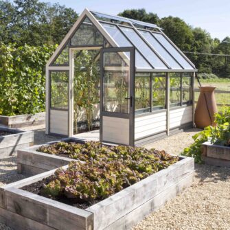 cultivar accoya greenhouse - profile photo