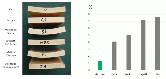 Comparaison de déformations de Accoya et autres bois