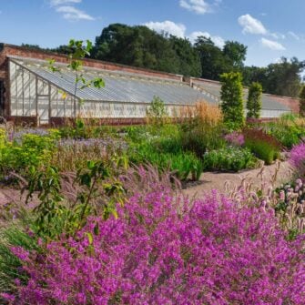 The Paradise Garden at RHS Garden Bridgewater. August 2020.