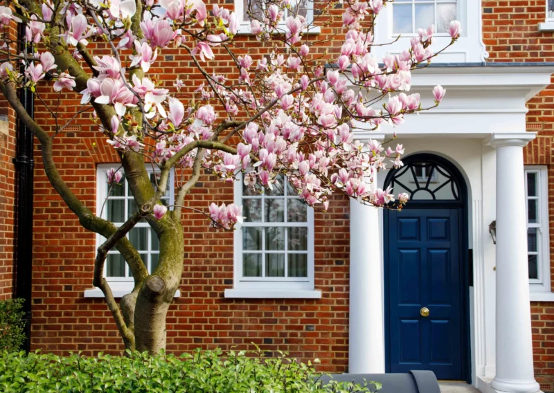 Wood windows in Central London