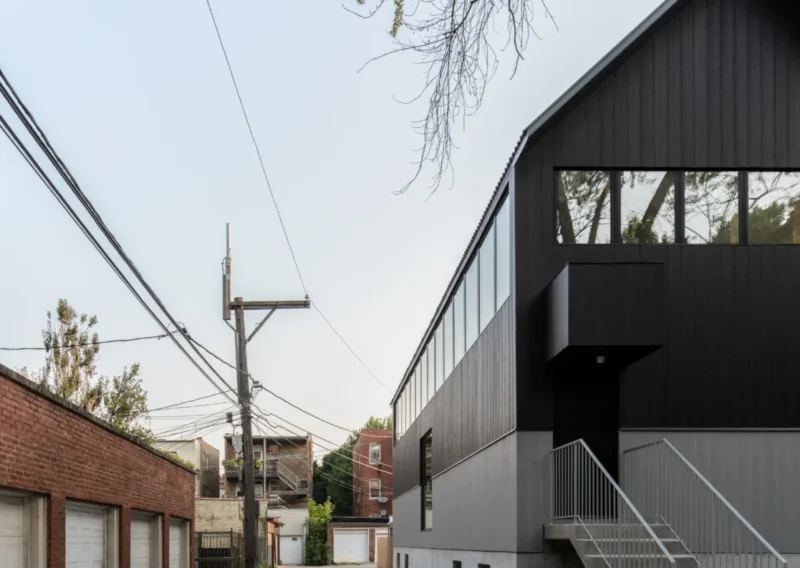 Accoya wood siding shou sugi ban