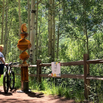 Accoya Inspiration - Cie Wood Scultpure - Colorado - Wide3