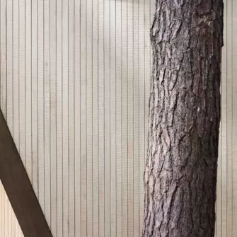 Houses in forest Vilnius-Accoya cladding-square-3