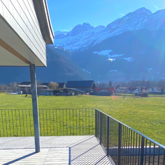 Accoya Color decking, Switzerland-Schuler Holzbau-square-2