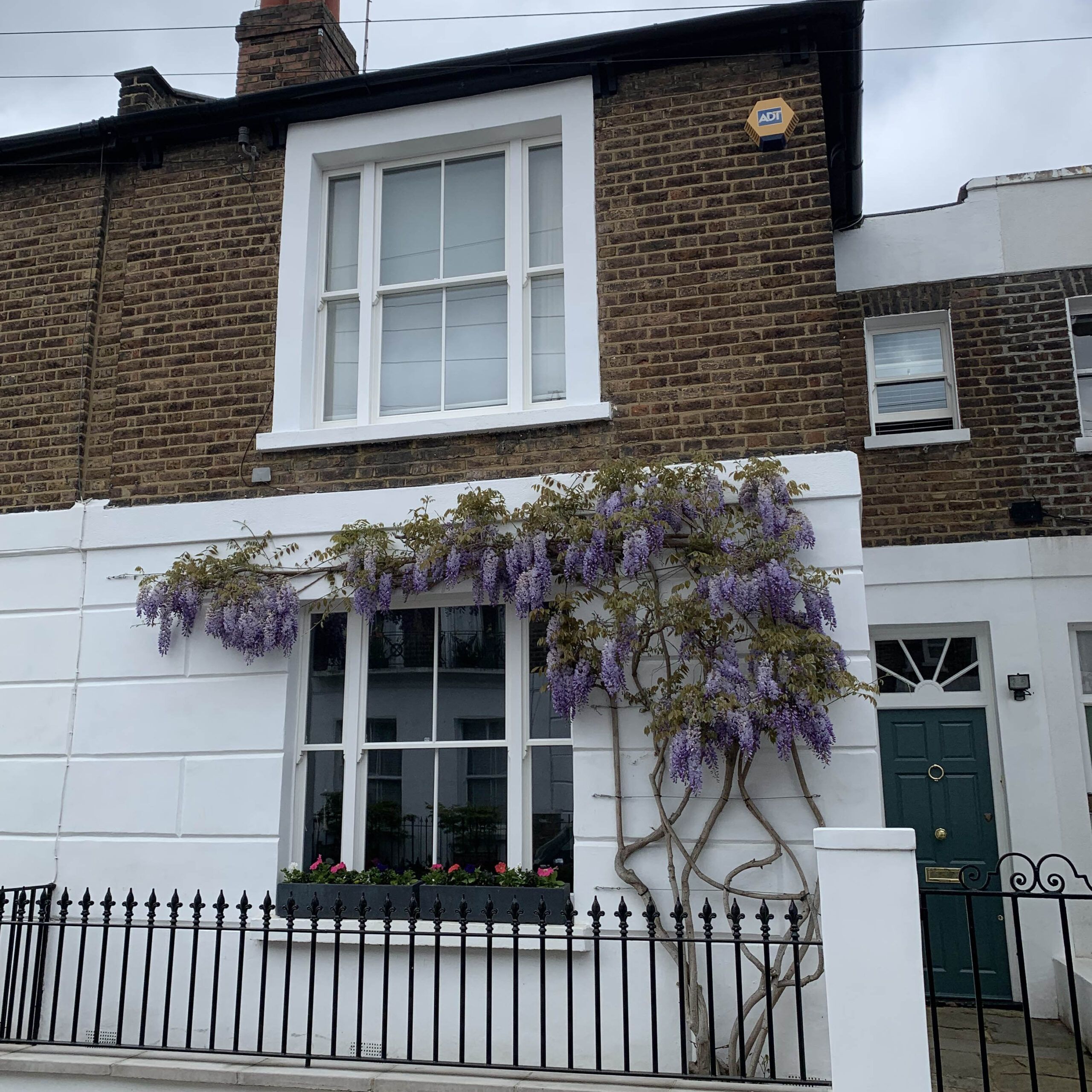 Accoya sash wooden windows