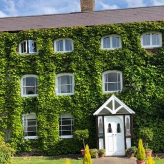 Scotford-Sash-Chepstow-BB-Accoya-windows-wide-1-1