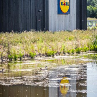 Lidl - Zwarthout-6rsd