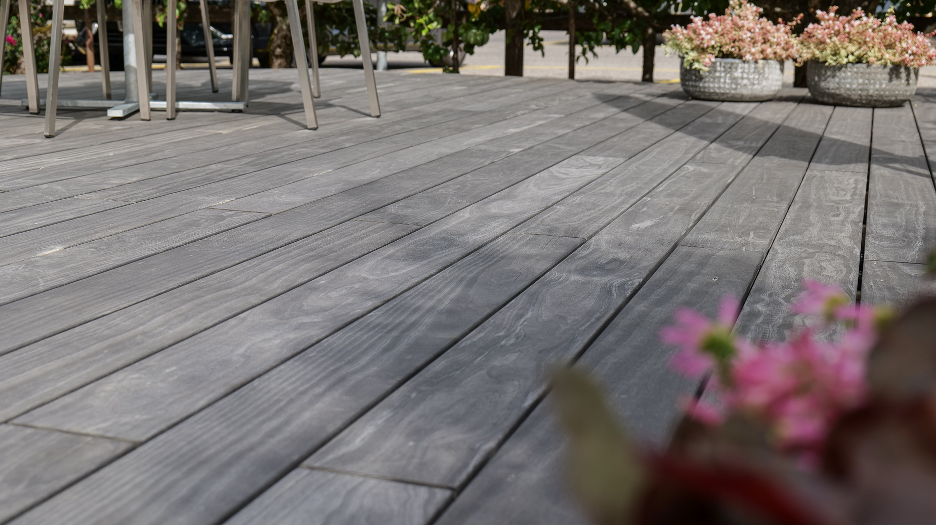accoya color grey terrasse