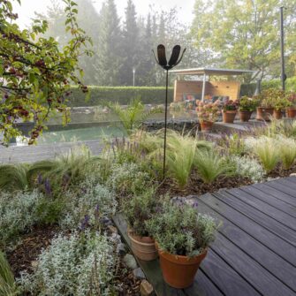 2021-accoya-color-poolumrandung-natuerlich-5