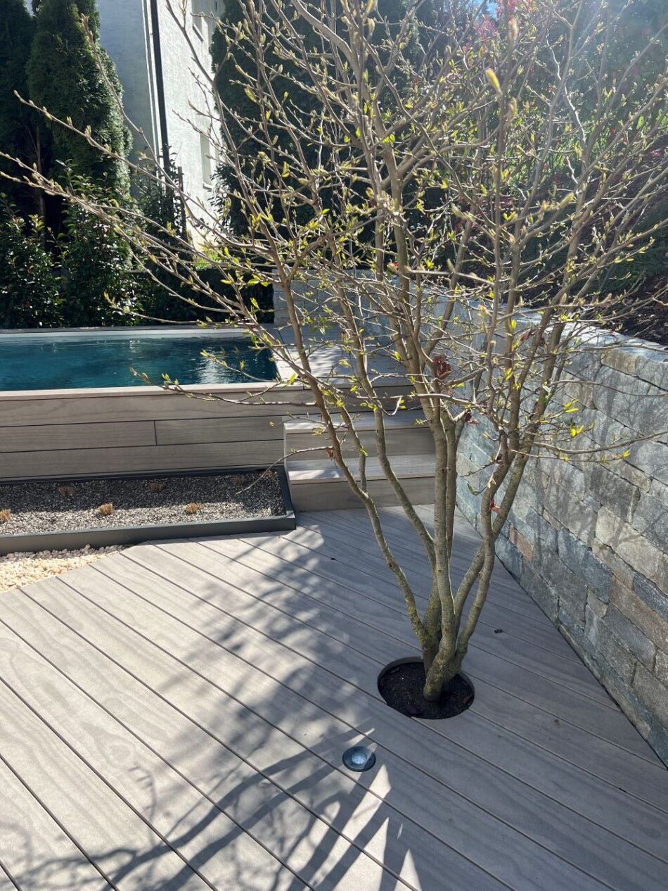 Accoya decking