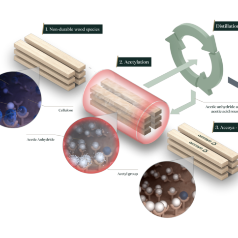 Acetylation. What is it and what is acetylated wood?