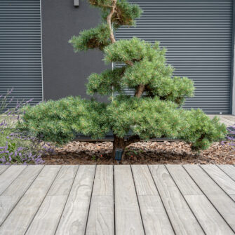 ACO_France_Decking_Res_Landes_Wood Solution (20)