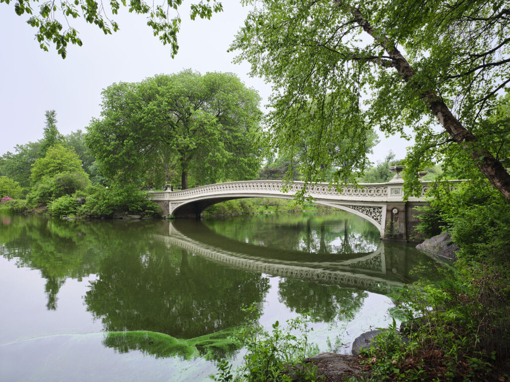 Accoya-Central-Park Bow bridge
