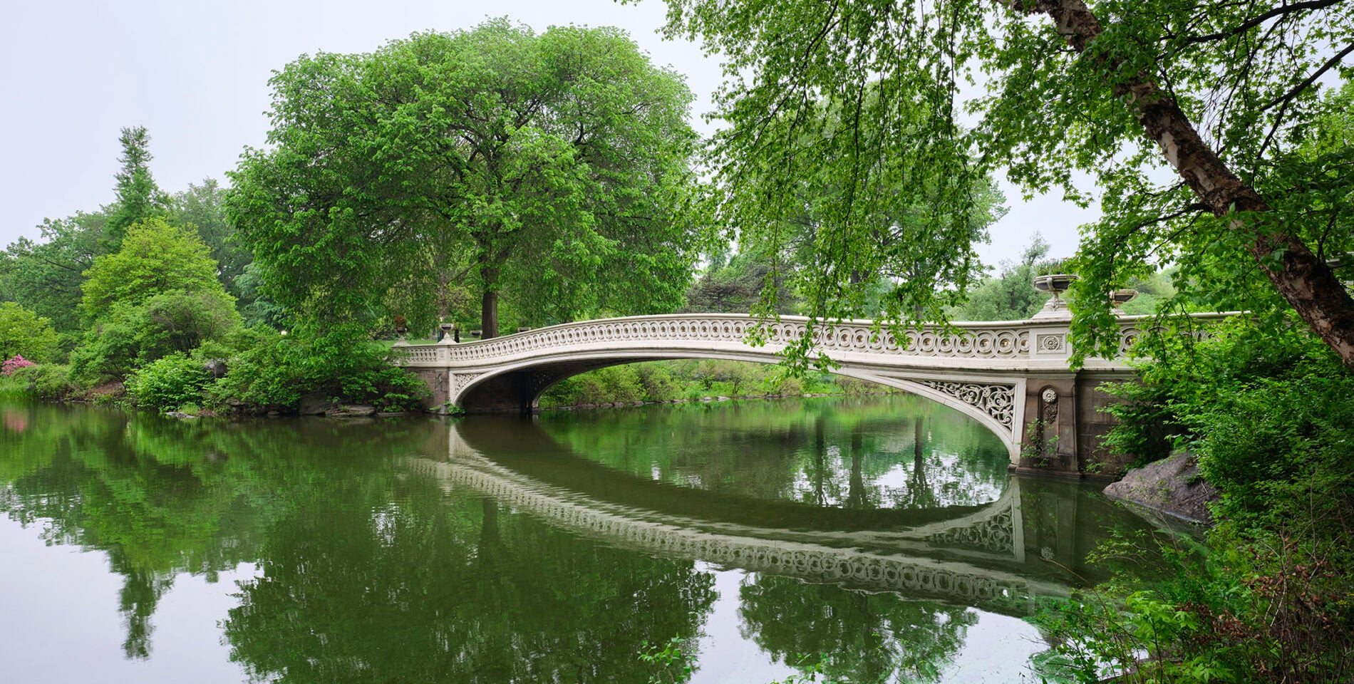 Accoya-Central-Park Bow bridge