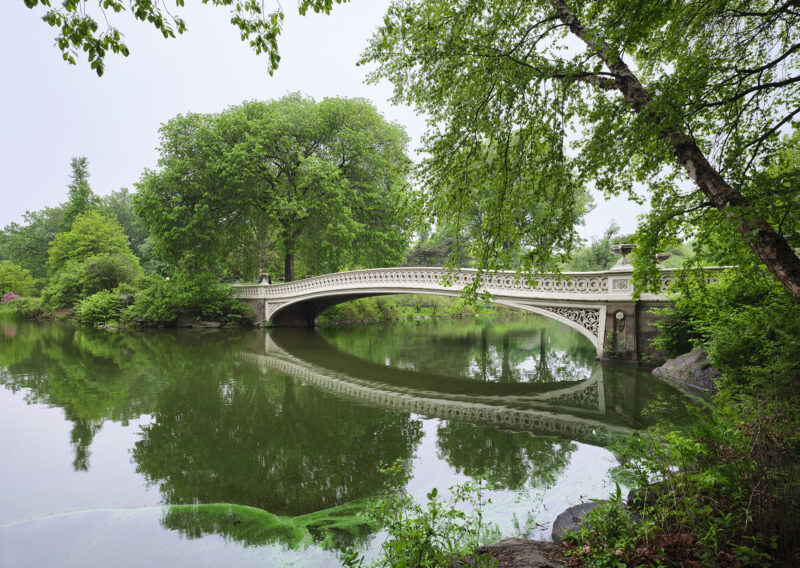 Accoya-Central-Park Bow bridge