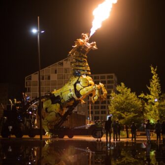 5E6A4988-Long Ma Jing Shen - Le Cheval Dragon©Emmanuel Bourgeau (4)BD